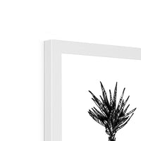 Y Framed Print