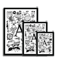 A Framed Print