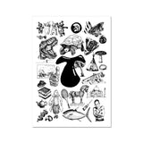 T Fine Art Print