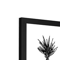 Y Framed Print
