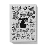 T Hardback Journal